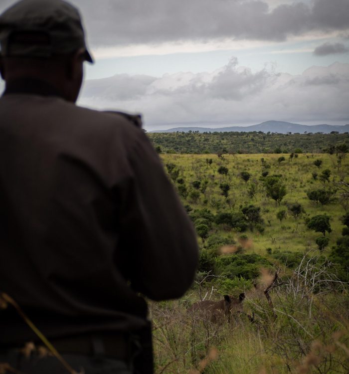 manyoni private game reserve conservation activities - view